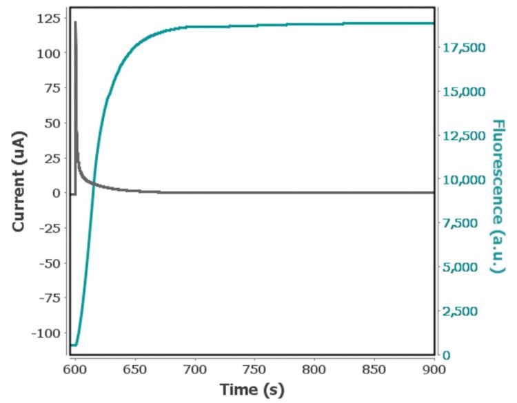 Third step potential of a multi-pulse  chronoamperometry experiment