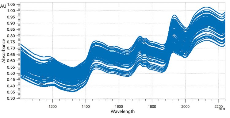 Overlaid NIR spectra of roasted coffee bean samples (whole beans). Data was obtained with an OMNIS NIR Analyzer Solid.