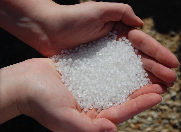 Person holding PET beads