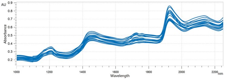 Overlaid NIR spectra of whole almonds