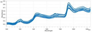 Overlaid NIR spectra of whole almonds