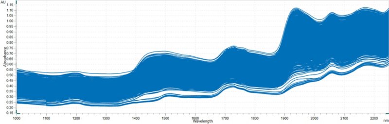 Spectral overlay of fish meal powder samples measured in reflection mode with an OMNIS NIR Analyzer Solid.
