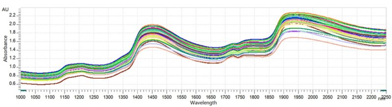 Espectros NIR de diferentes aceitunas encurtidas medidos en un analizador OMNIS NIR Solid. 