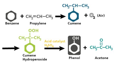 Overall reaction mechanism for the cumene process
