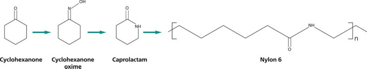  Reaction mechanism from cyclohexanone to form Nylon 6.