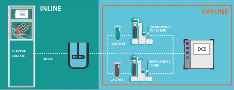 Steps to measure glucose and lactate in a bioreactor by implementing inline (left) or offline (right) analysis.