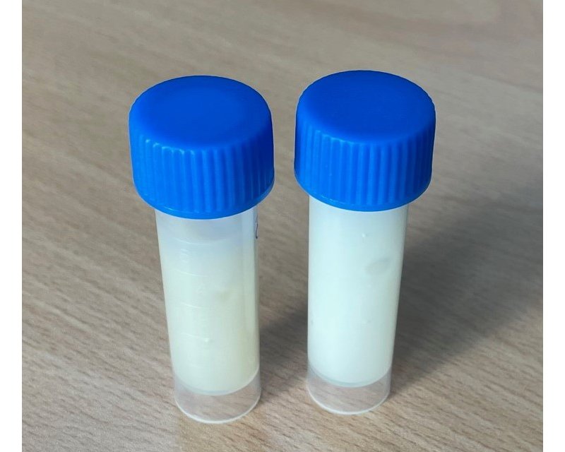 Cold-extracted fat from ground sausages. The petroleum  ether was removed at 15 mbar at room temperature. 