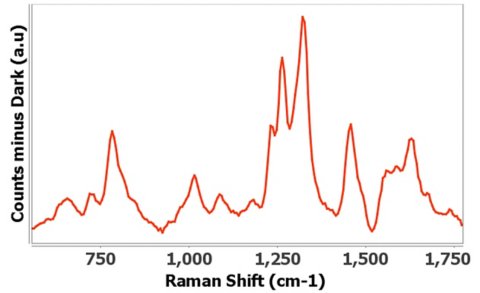 (a) Cyclic voltammogram and (b) Raman spectrum of 1 mg/mL aldehyde dehydrogenase in 0.1 mol/L potassium chloride aqueous solution using C013 electrodes. Integration time was 2000 ms.