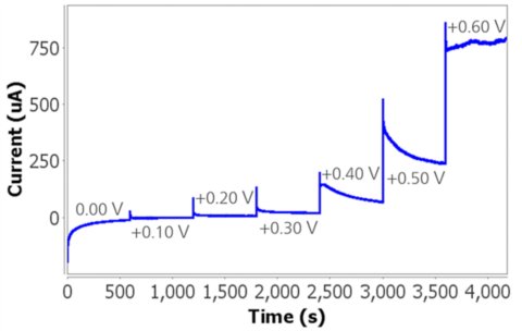 Multipulsed Amperometric Detection in 1 mol/L KOH. 