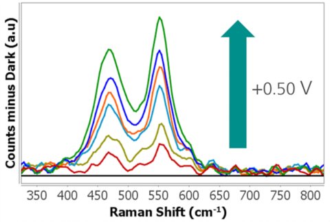 Raman spectra recorded simultaneously (int. time 30 s).