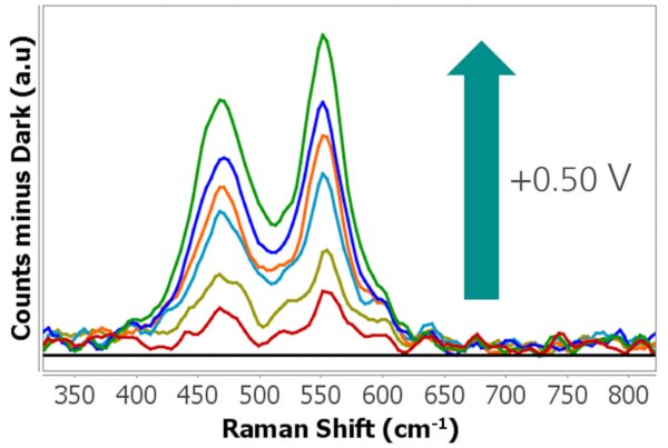 Espectros Raman registrados simultáneamente (tiempo de inmersión: 30 s).