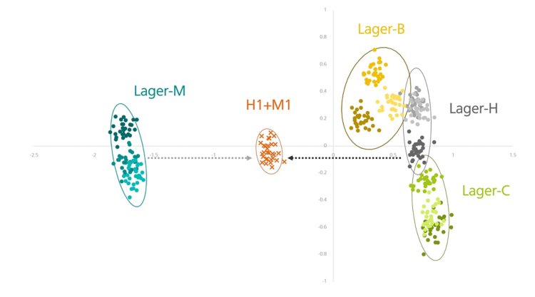 PCA plot of different lagers and mixture of lagers  (confidence ellipse 0.95). 