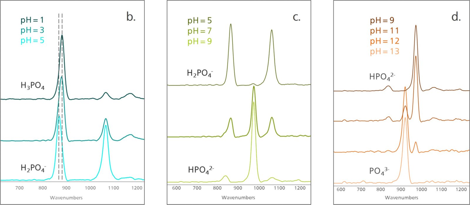 Espectros Raman