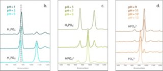 Raman spectra