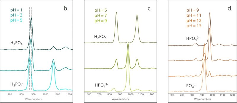 Raman spectra