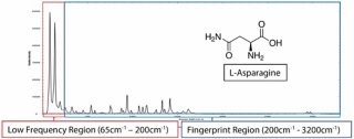 Low-frequency spectra of L-asparagine 