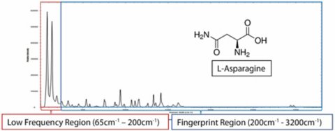 Espectros de baja frecuencia de L-asparagina 