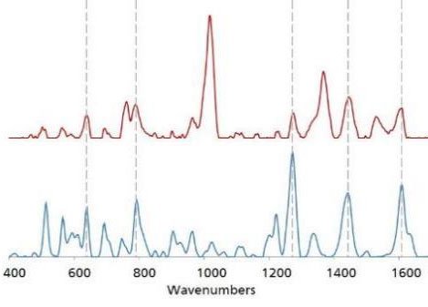 The gold SERS spectrum of Norco® (red), is overlaid with  a gold SERS library spectrum of hydrocodone (blue). Dotted lines  indicate peak agreement between the two spectra. 