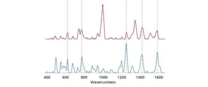 The gold SERS spectrum of Norco® (red), is overlaid with  a gold SERS library spectrum of hydrocodone (blue). Dotted lines  indicate peak agreement between the two spectra. 