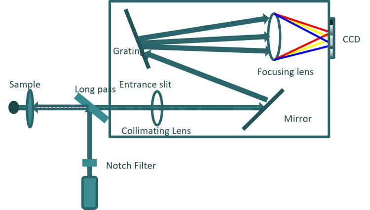  Free space Raman spectrometer design. 