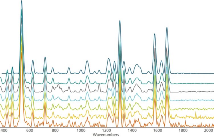 Spectral SNR at different wavelengths and laser powers. 