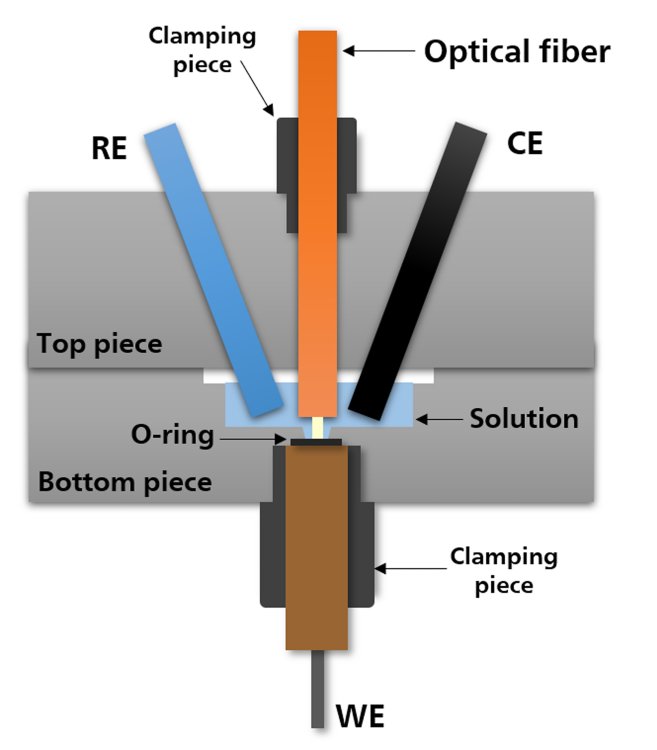 Illustrierte Querschnittsansicht der REFLECELL-C für konventionelle Elektroden. 