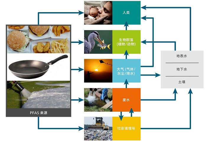 全氟辛烷磺酸的流转路径以及如何进入人体