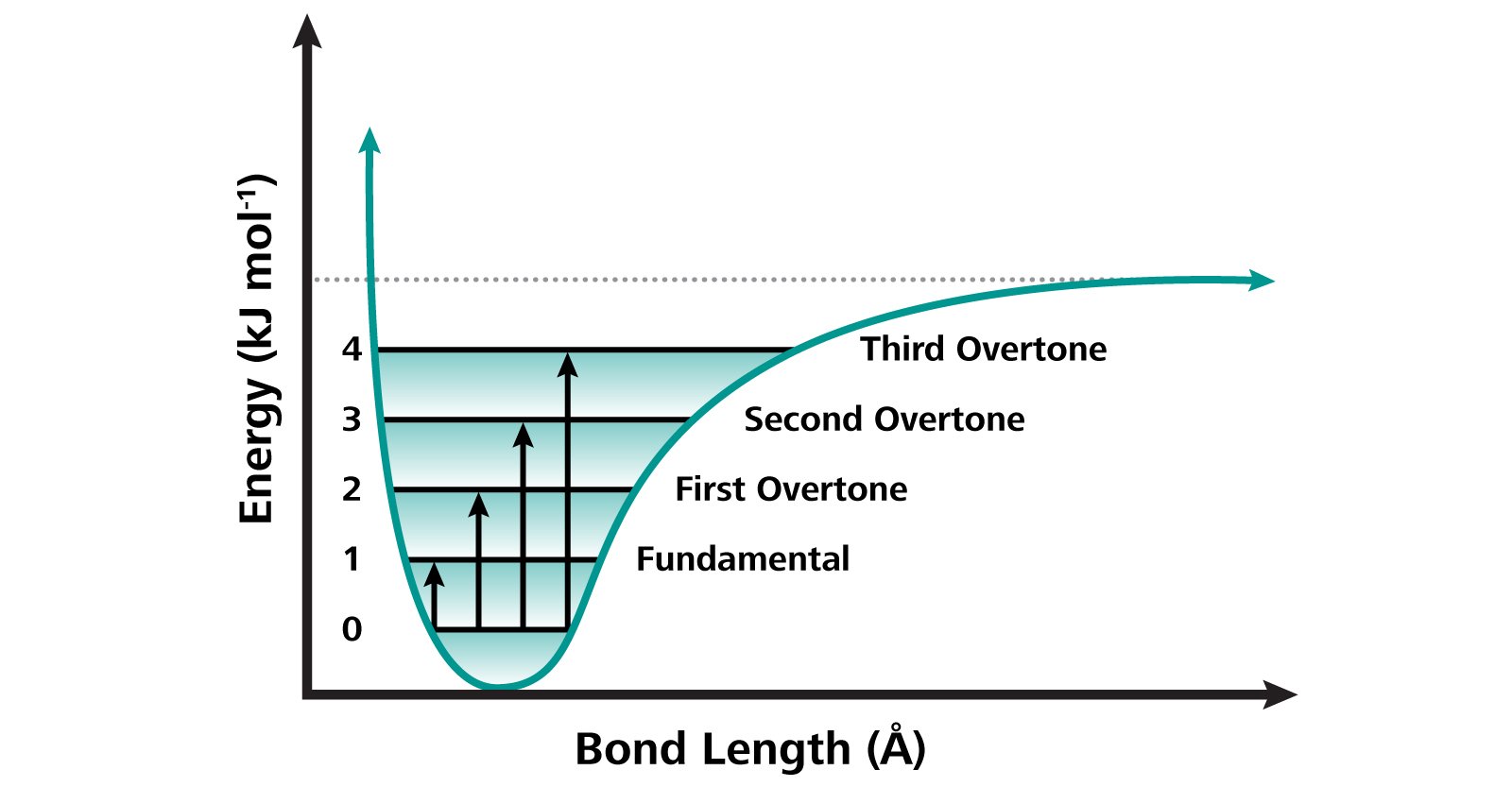 Schematic representation of the processes occurring with fundamental vibrations and with overtones.