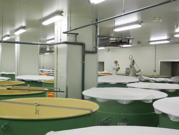 獺祭イメージ４