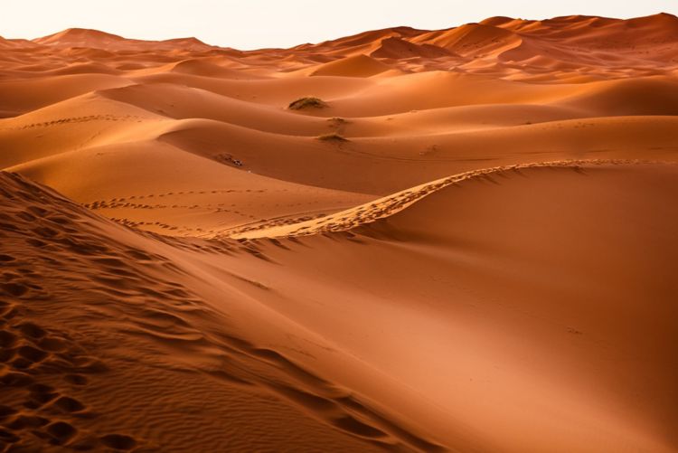 landscape-desert.jpg