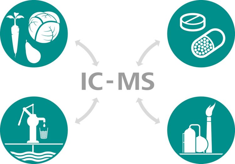IC-MS graphic