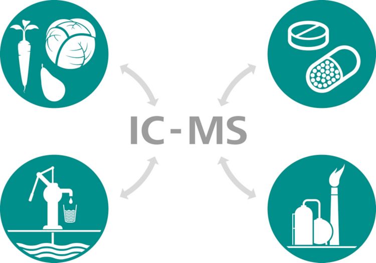 IC-MS グラフィック