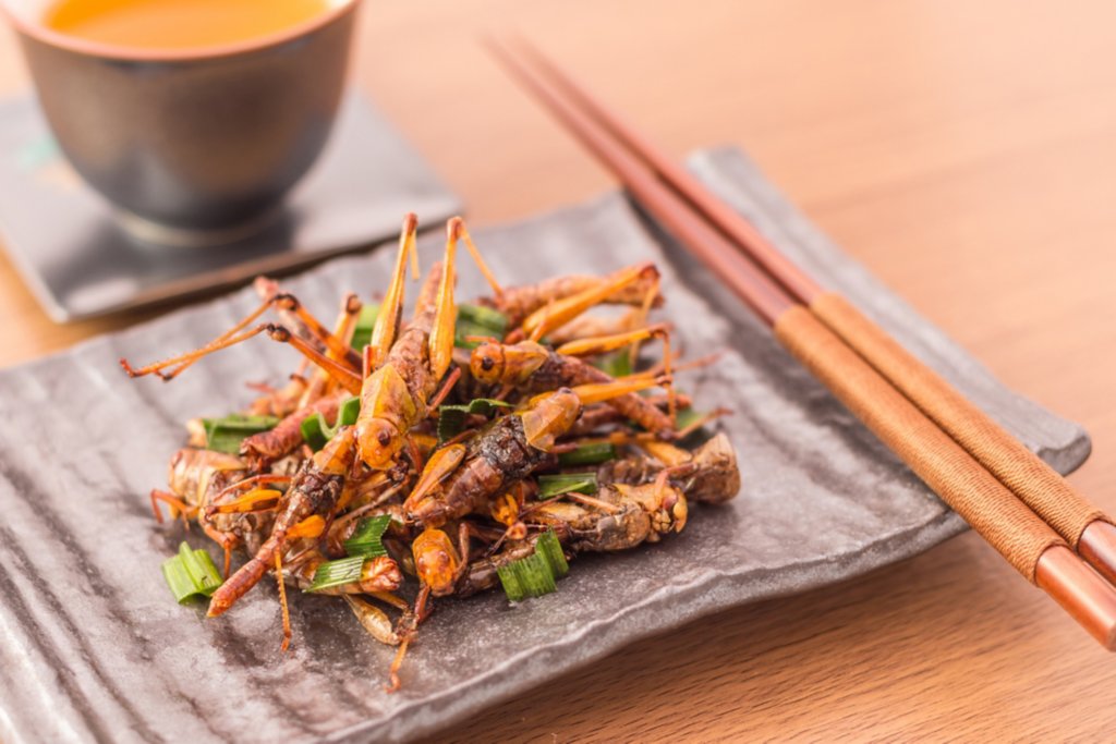 https://metrohm.scene7.com/is/image/metrohm/iStock-636625696_novel-food?qlt=85&ts=1645779109817&dpr=off
