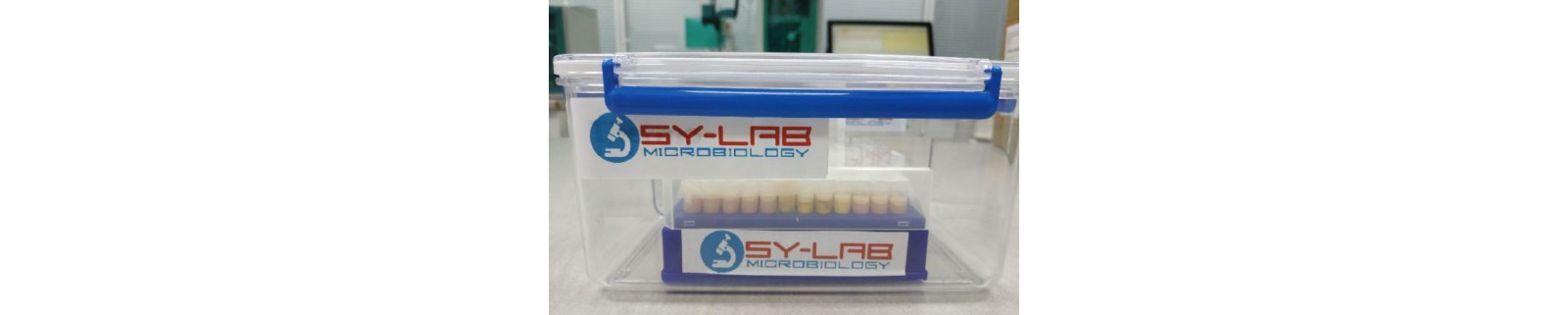 Incubation Anaerobiosis
