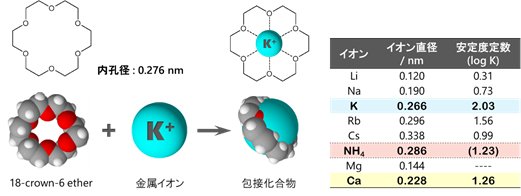 図22-4　18-crown-6の包接化合物，及び陽イオンのイオン半径と錯安定度定数