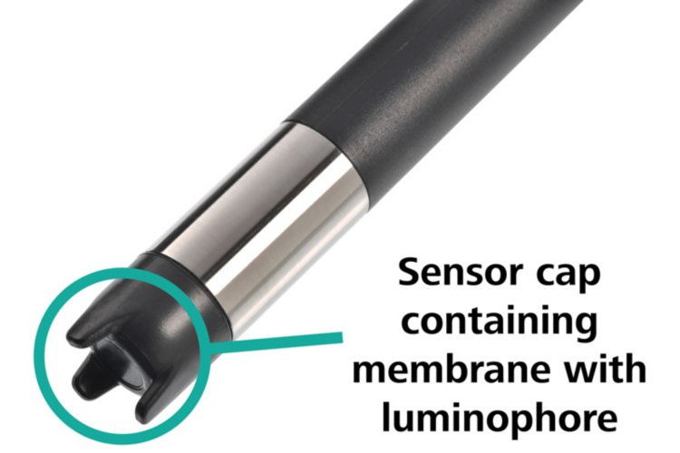https://metrohm.scene7.com/is/image/metrohm/lumitrode-sensor-cap?qlt=85&ts=1644250081810&dpr=off
