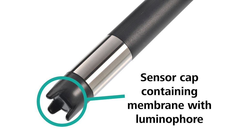 https://metrohm.scene7.com/is/image/metrohm/lumitrode-sensor-cap?qlt=85&ts=1644250081810&dpr=off