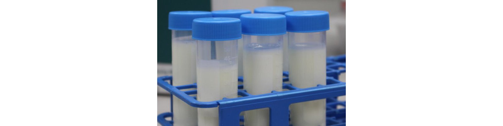 Milk Samples