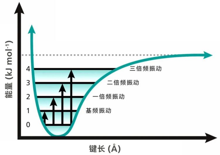 红外光谱主要为分子基频振动的吸收，而近红外光谱主要为分子倍频振动及合频振动的吸收。