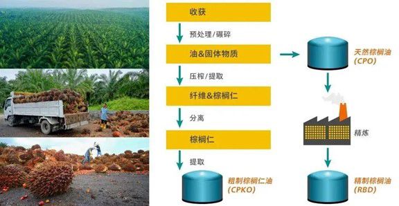 围观！棕榈油质量控制专业解决方案来袭（近红外光谱仪）