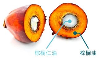 瑞士万通为棕榈油生产加工企业提供了一整套快速分析油品多种参数的近红外解决方案