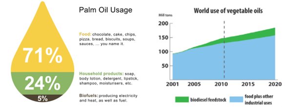棕榈油用量统计（来源：https://www.wikicorporates.org/wiki/Palm_Oil_Industry）