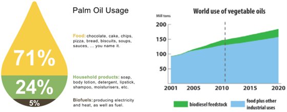 Palm oil usage statistics (source: https://www.wikicorporates.org/wiki/Palm_Oil_Industry)