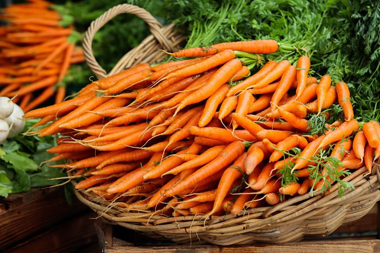 A bundle of carrots sitting in a wide basket.