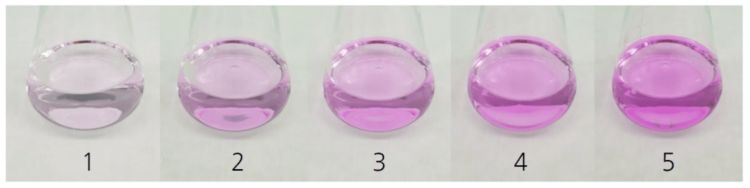  Farbumschlagsstufen von Phenolphthalein als Indikator von sauer nach basisch.