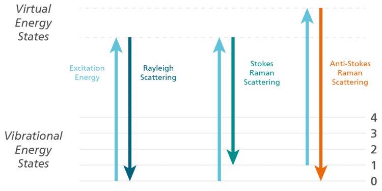 Rayleigh, Stokes, and anti-Stokes Raman scattering mechanisms.