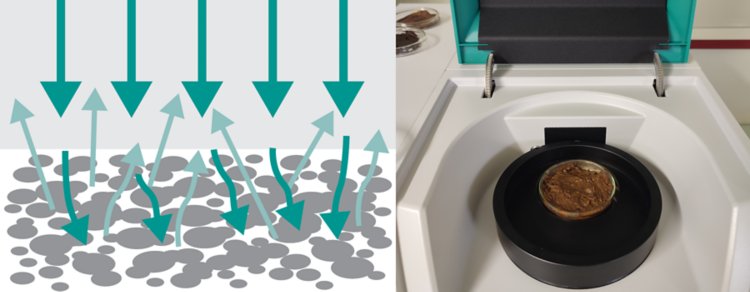 Illustration of the diffuse reflection measuring mode alongside a stool sample placed on the NIRS DS2500 Solid Analyzer