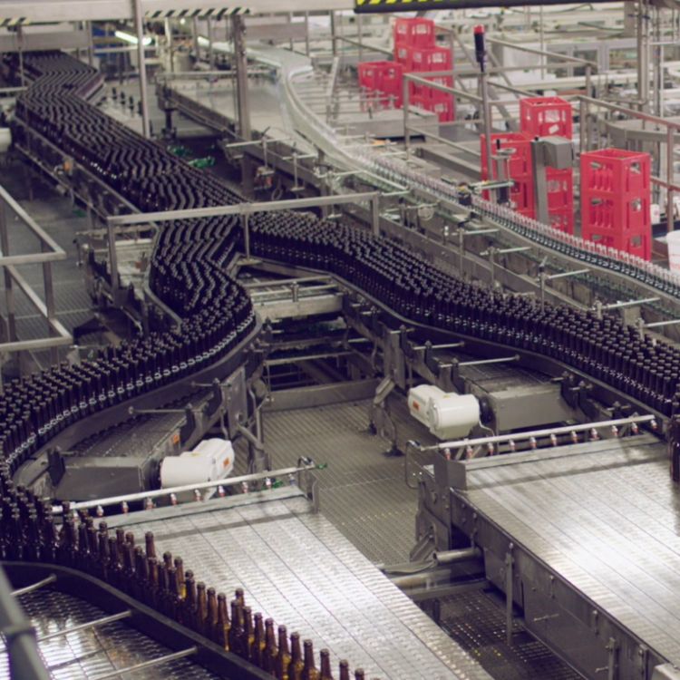 beer bottles on conveyor belt