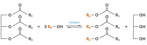 Illustration of the transesterification reaction.