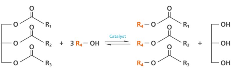 Darstellung der Umesterungsreaktion (R1, R2 und R3: Kohlenstoffketten von Fettsäuren; R4: Alkylgruppe des Alkohols).